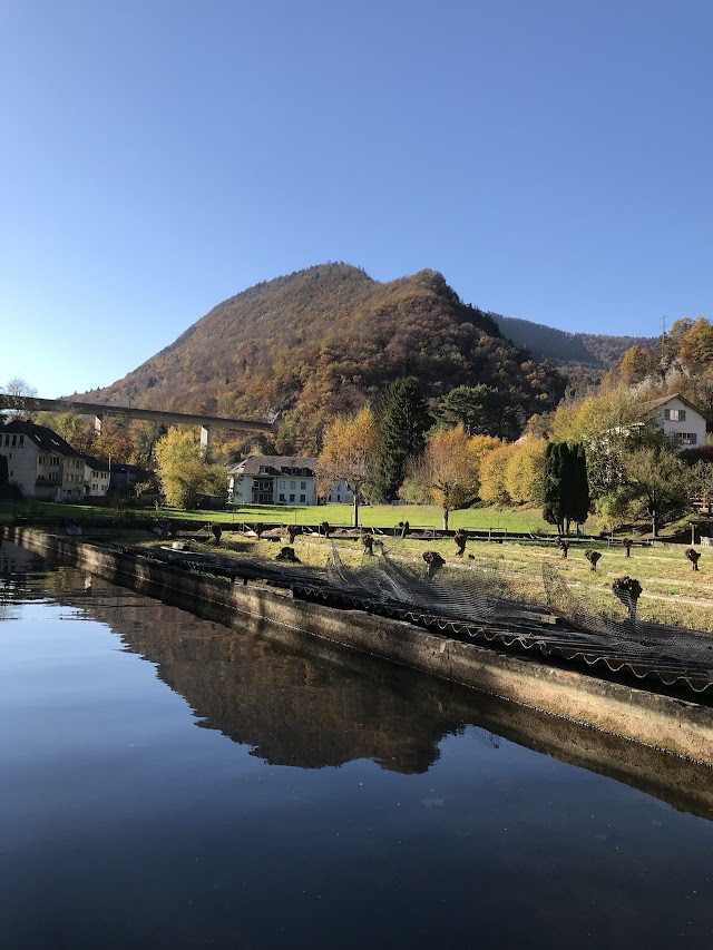 Place around image