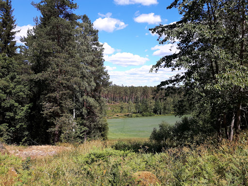 Lejonbacken - Visual