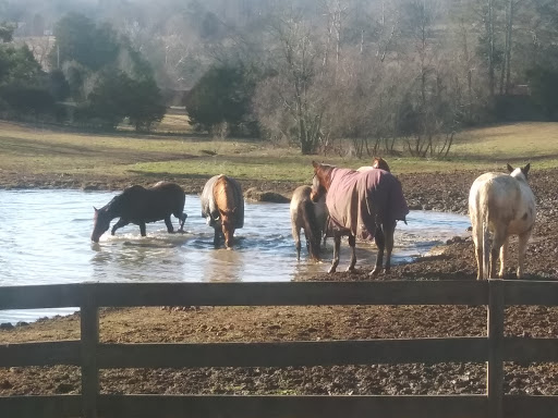 KO Stables - Visual
