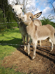 Photo n°8 de Chez Jem Vakantie Frankrijk à Le Breuil (Village de vacances)