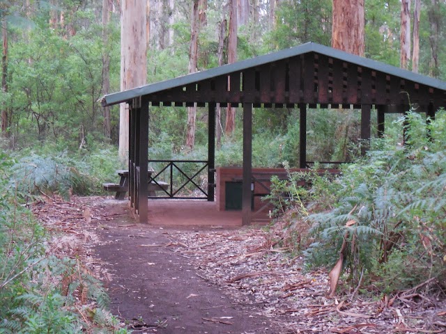 Gloucester Tree