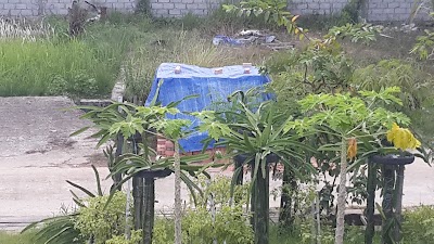 Photos of Kost Satrya