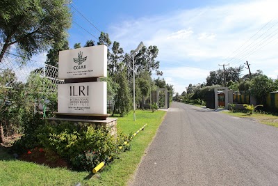 Photos of International Livestock Research Institute