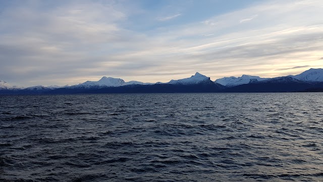 Narvik