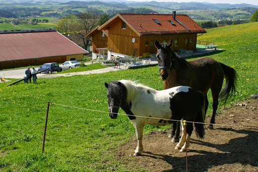 Gammerhof - Visual