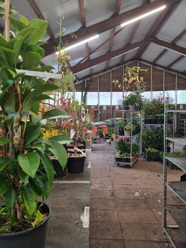 Plantentuin Esveld - Thumbnail
