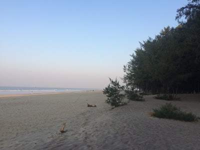Photos of Beach Sand Minerals Exploitation Centre