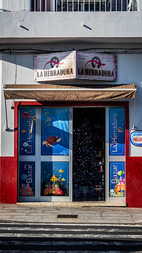 Bazar La Herradura - Thumbnail