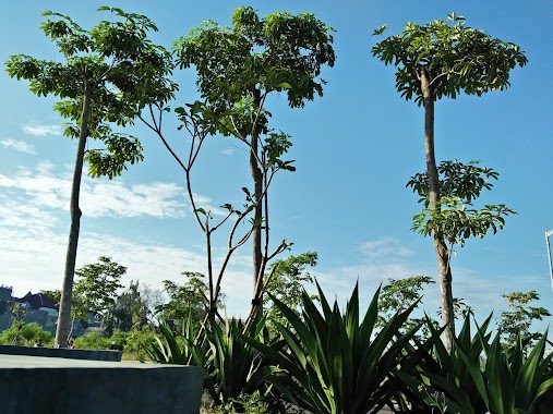 Lapangan bola Bank Dagang Negara, Author: Budi Utomo