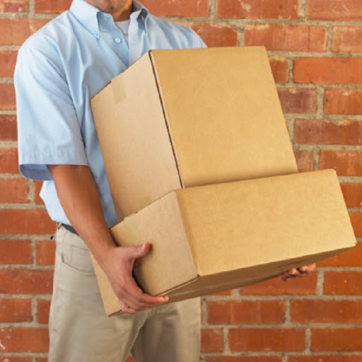 Frederick Movers - Visual