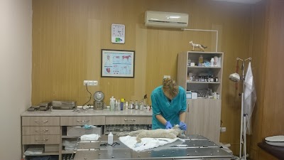 Photos of Samson Veterinarian Clinic