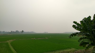 Photos of Borjanga Bridge