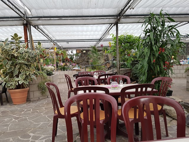 Orchideen Netzer & Café Orchidee