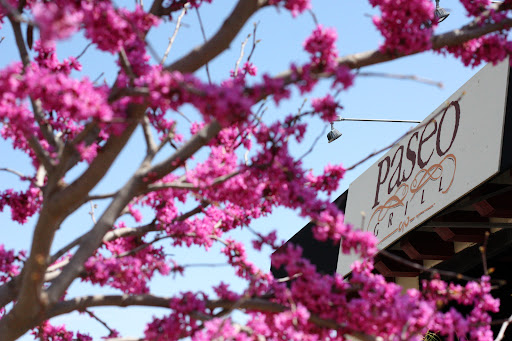 Paseo Grill - Thumbnail