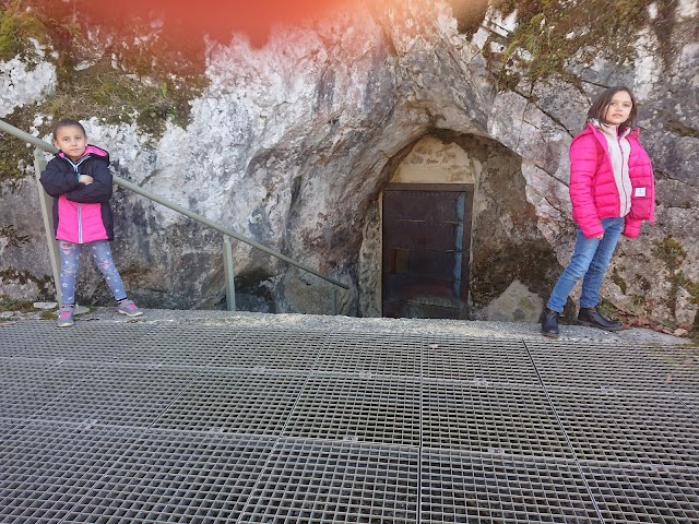 Grotte de Gargas