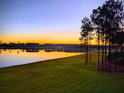TimberMill Acres - Visual