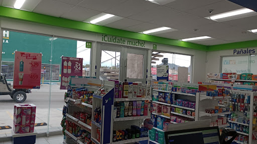 Farmacias YZA PLAZA MAGDALENA - Thumbnail
