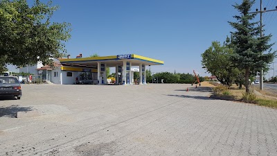 Best Oil-kozaklı Petrol