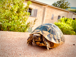 Photo n°17 de CasaConca à Conca (Maison de vacances)