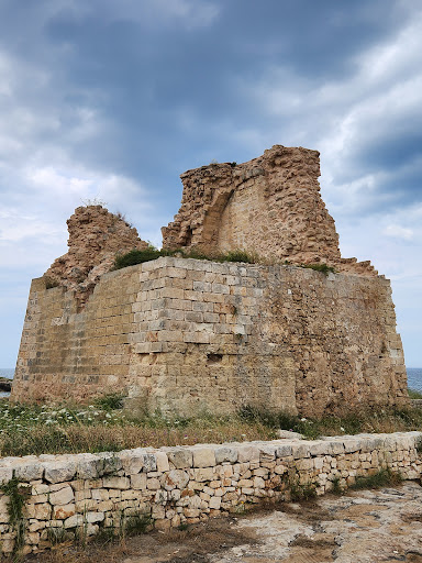 Torre Cintola - Visual