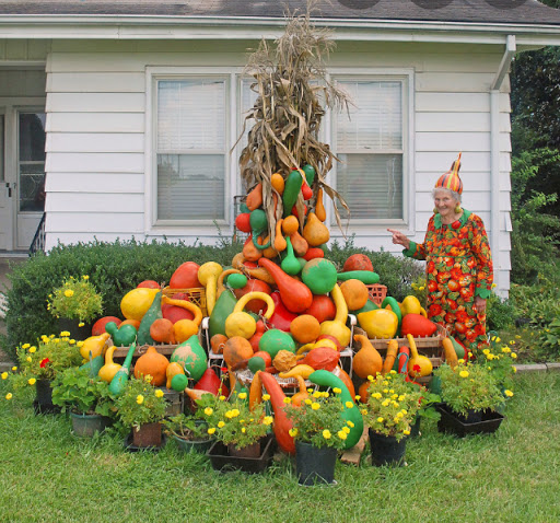 Jan’s Gourd Hovel - Thumbnail