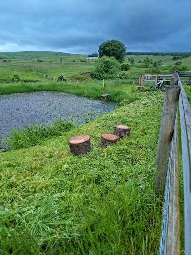 Thick Withins Farm Campervan & Motorhome Aire Stopover - Thumbnail