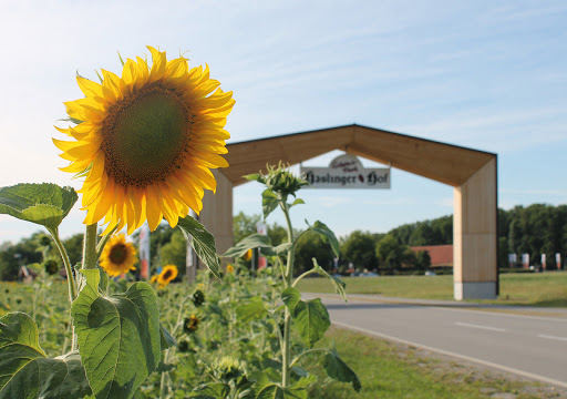 Haslinger Hof - Thumbnail