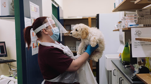 Grove Vets, Ballymena Logo