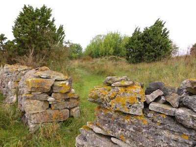 Photos of Vilsandi National Park