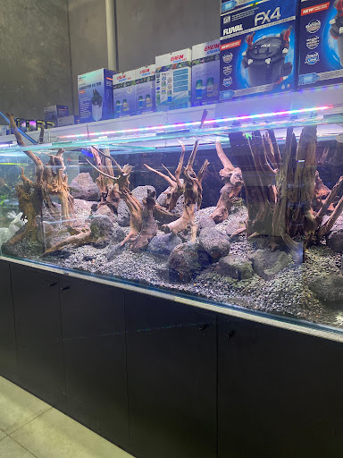 Roxy Aquarium - Thumbnail
