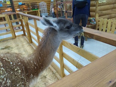 Photos of Touching Zoo