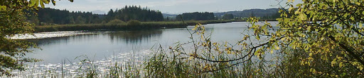 Christine Zapp Immobilien - Thumbnail
