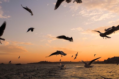 Eminönü İskele