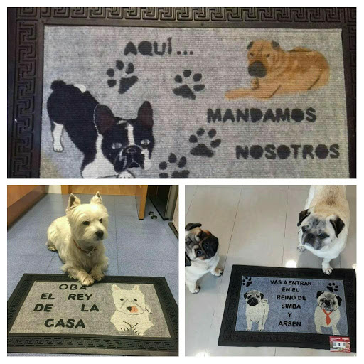 La Compañia Perruna - Visual