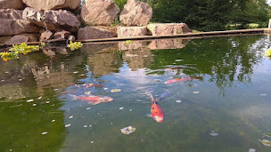 Photo n°1 de Julie Larché Sophrologue à Outremécourt (Centre de bien-être)