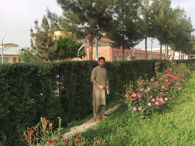 Wardak University وردگ بابا پوهنتون