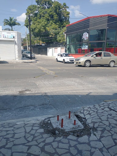 Arándano - Visual