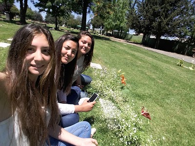 cemetery