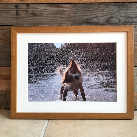 Ballard's Artwork Framing by null