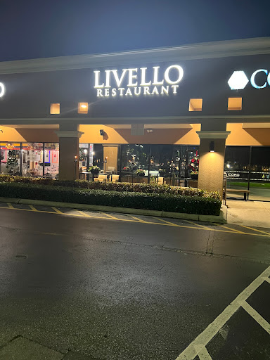 Livello - Visual