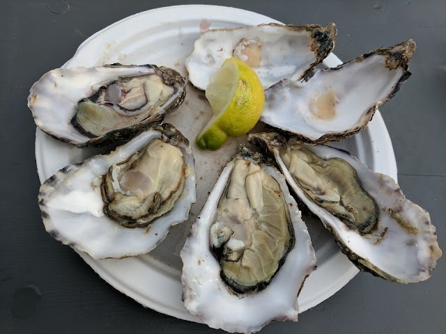 Whitstable Oyster Fishery Co