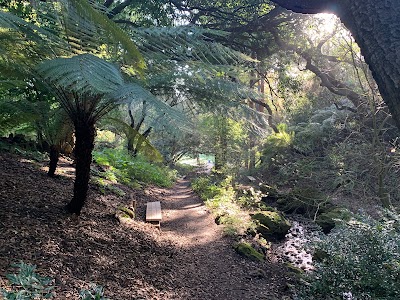 National AIDS Memorial Grove