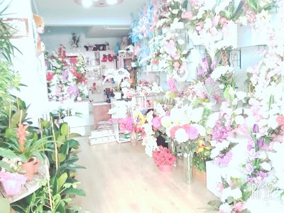 Photos of Eregli Park Site Shopping And Entertainment Center