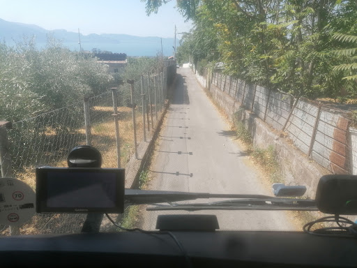 DLA - Delivery And Logistic Agency S.R.L. - Thumbnail