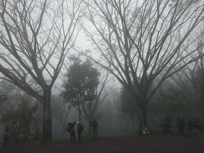 Photos of Bumi Perkemahan Wonogondang