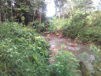 Photos of Parque Llano Lindo
