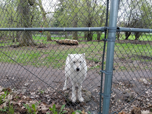 Zoo New York - Thumbnail