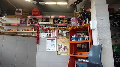 Photos of South Veterinary Clinic