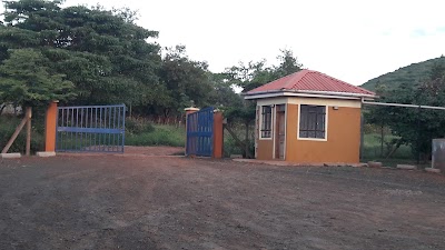 lodging