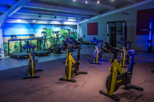 21 Wellbeing Gallery - United Kingdom